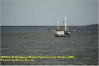 39955 04 140  Hallig Hooge, Nordsee-Expedition mit der MS Quest 2020x.JPG